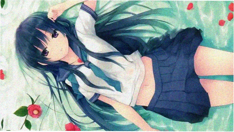 虞美人盛开的山坡